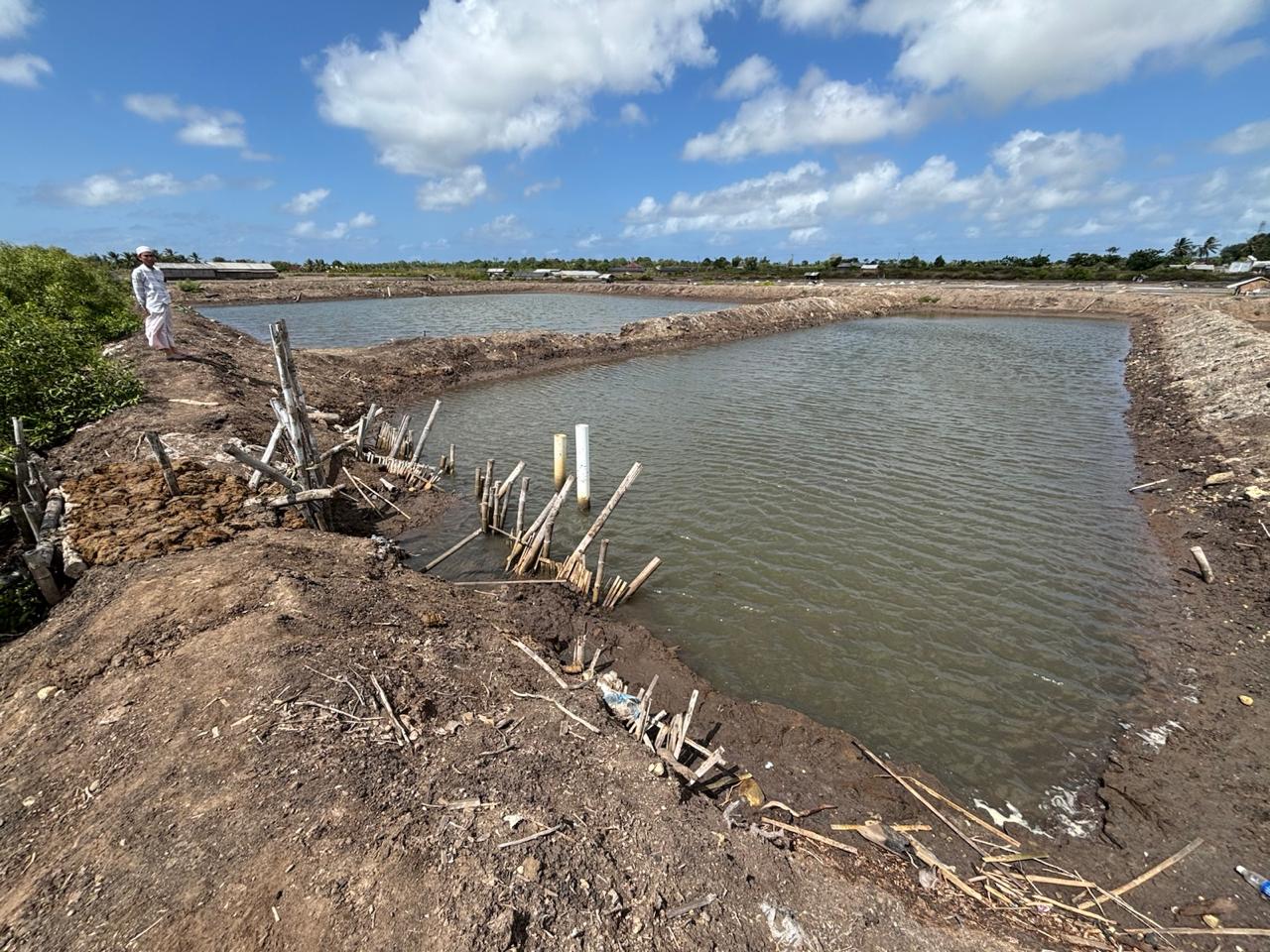 DIJUAL LAHAN TAMBAK 16.340 M² – PEMONGKONG, LOMBOK TIMUR