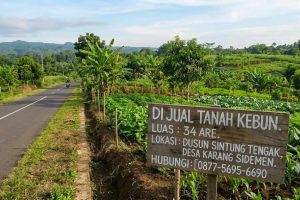 Tanah Kebun 34 Are Pinggir Jalan Aspal di Karang Sidemen, Lombok Tengah